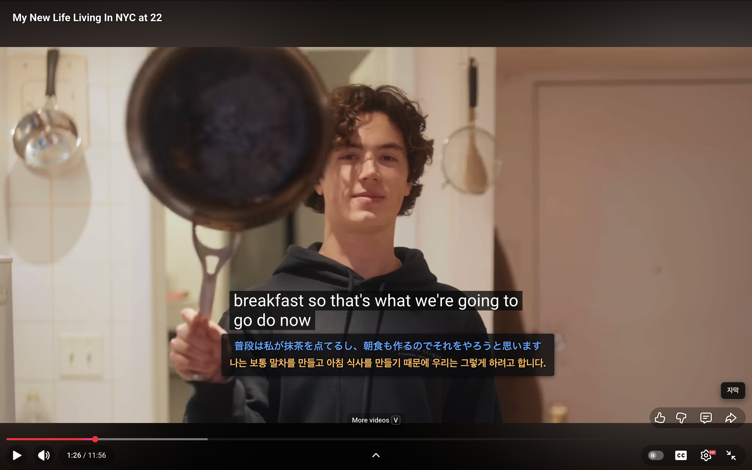 YouTube Dual Subtitle extension showing video player with Japanese, Korean, and English subtitles displayed simultaneously
